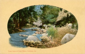 Creek Scene at Cresta Blanca, Livermore, California                                              
